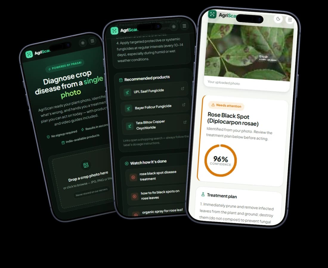 Agri-Scan on three phones: the upload screen, a diagnosis of rose black spot at 96% confidence, and a treatment plan listing fungicides available in India.